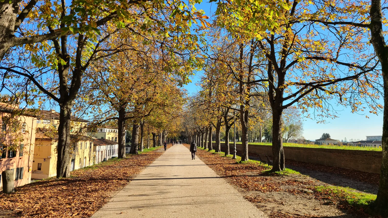 One Day in Lucca: The Perfect Walking Itinerary Inside the Walls