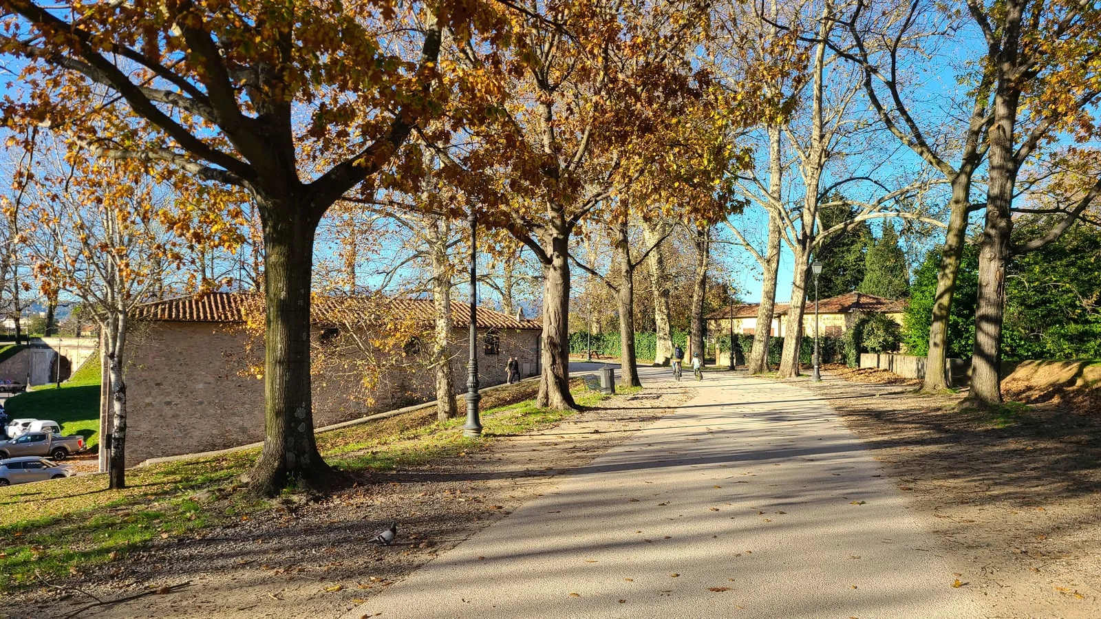 Long straight path on top of Lucca's city walls lined with tall plane trees in autumn, golden leaves on the ground, sunlight filtering through the canopy