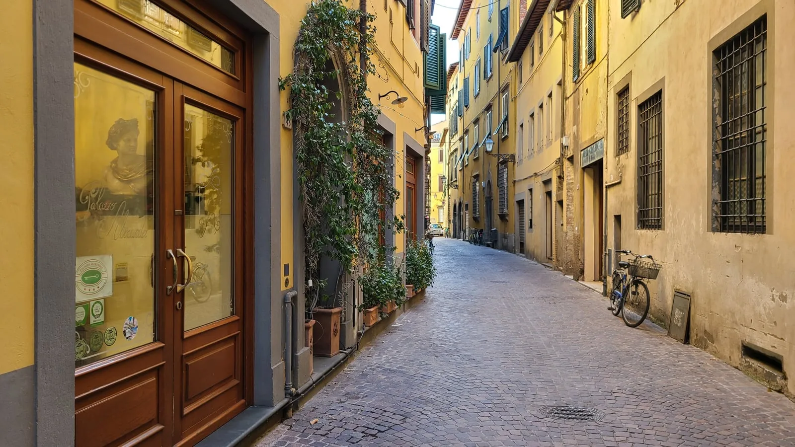 Narrow cobblestone street in Lucca's medieval center, ochre and yellow buildings with green shutters, ivy climbing a doorway, a bicycle leaning against the wall