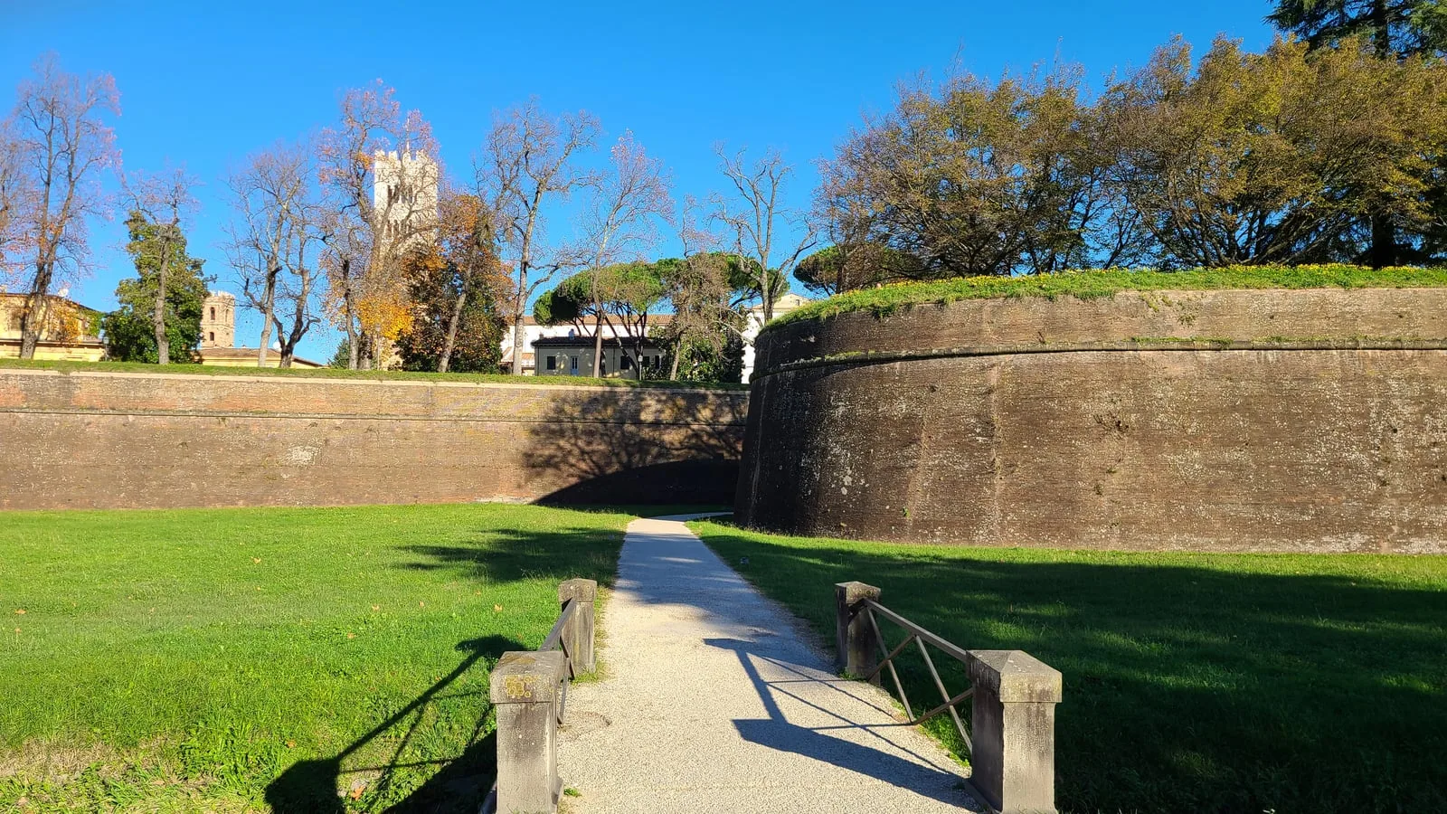 Exterior of Lucca's Renaissance city walls curving along the grass in autumn, with Torre Guinigi rising above the treetops in the background