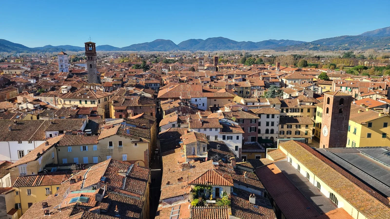 Wide panoramic view of Lucca from a tower top showing multiple medieval towers, densely packed rooftops, and the Apuane Alps in the background under a clear blue sky