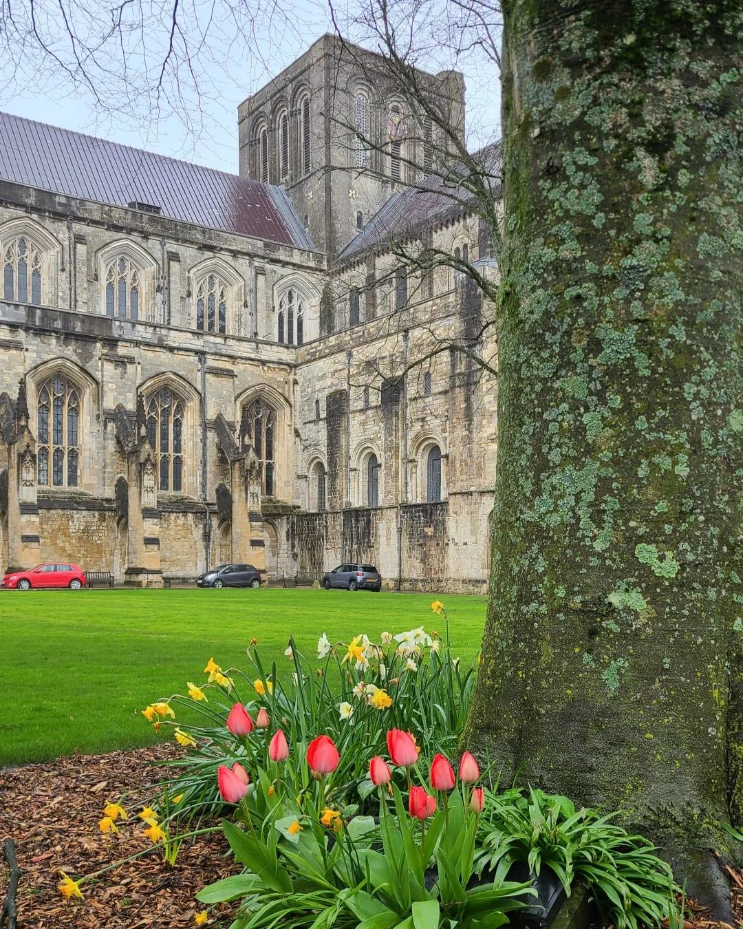 Winchester Cathedral surrounded by spring tulips and daffodils in the cathedral grounds