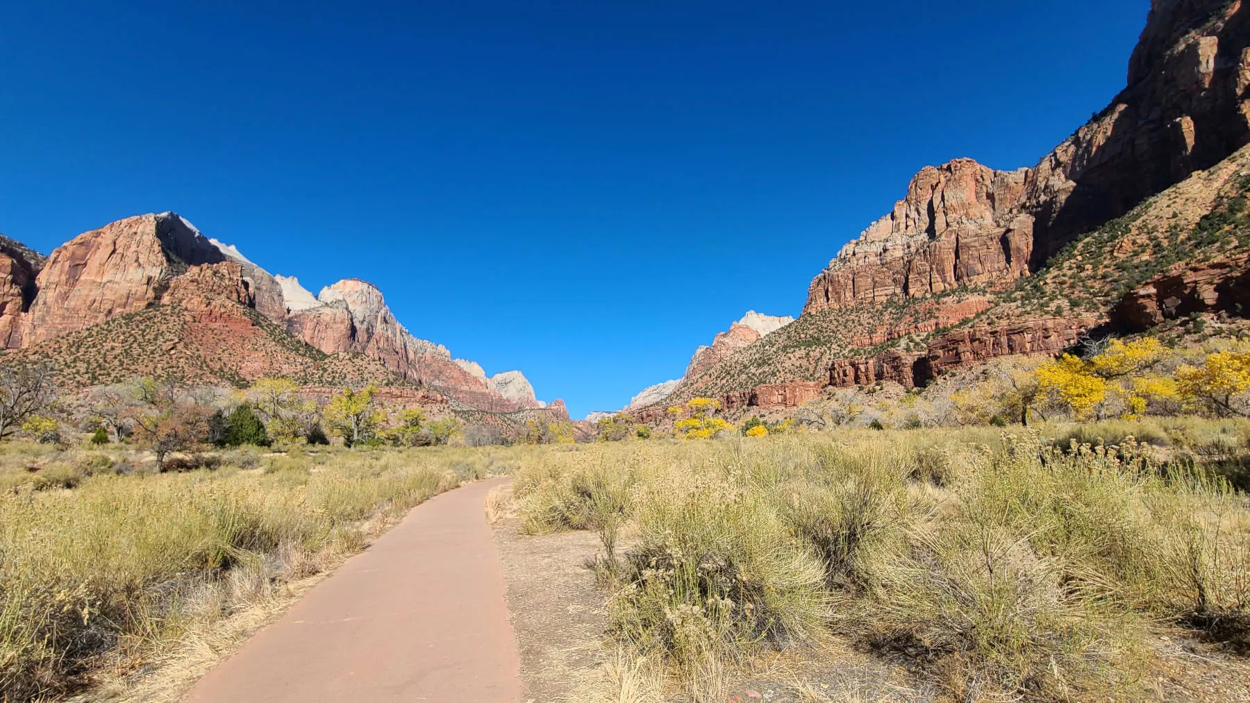 The paved Pa'rus Trail in Zion is great for walking, biking and is wheelchair accessible.